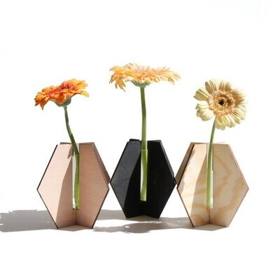 Aiymes | Small Hexagon Vase - Wood with glass vase inside - 14 cm