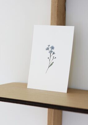 Inkylines | Forget-me-nots flower - A6 postcard with or without wooden frame