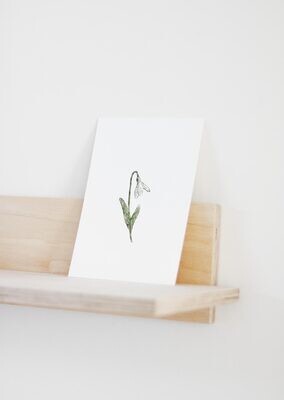 Inkylines | Snow drop - A6 postcard with or without wooden frame