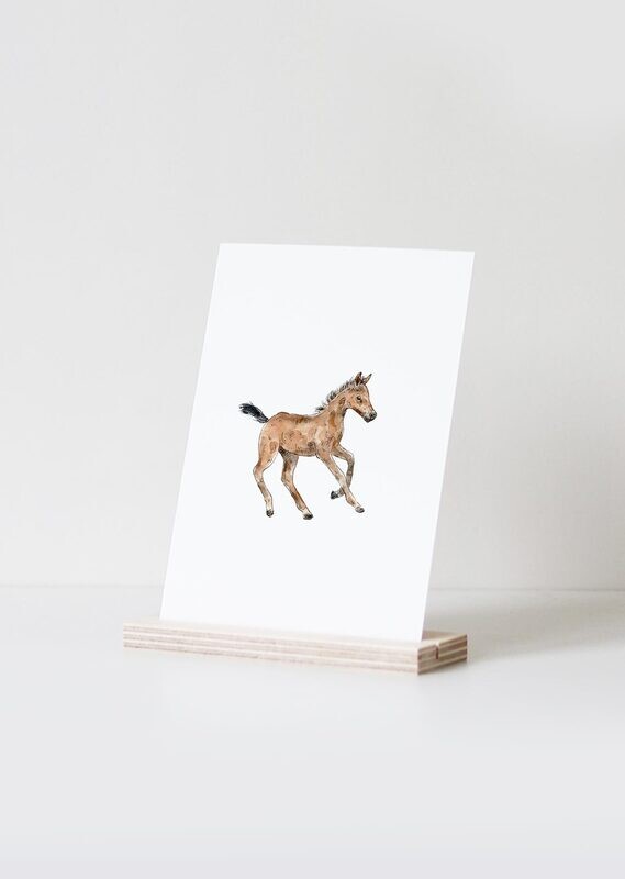Inkylines | Foal or baby horse - A6 (postcard) with or without wooden frame