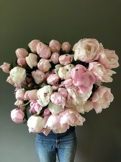 Bluebird Meadows 4 Week Spring Flower Subscription, SESSION II, runs April 8th-April 29th 2026