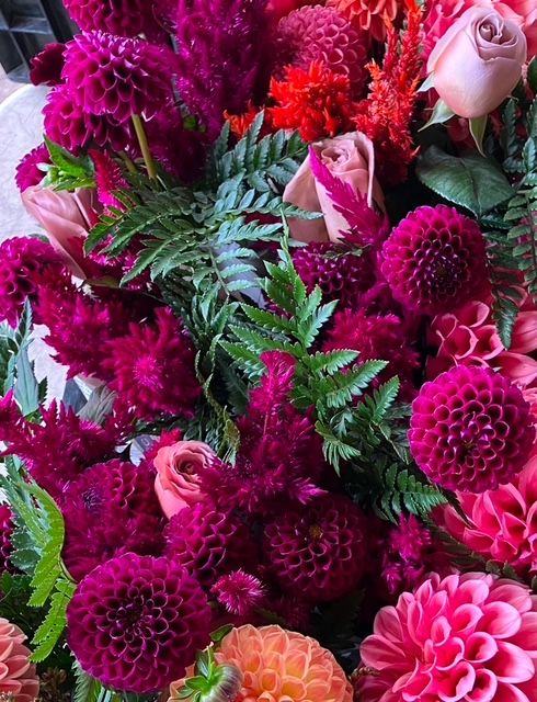 Ivanetti Dahlia Tuber