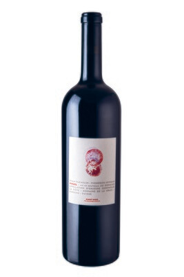 Magnum de Pinot Noir 2020 150 cl