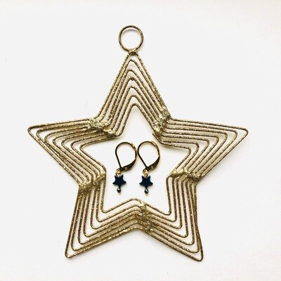 The blue star earrings