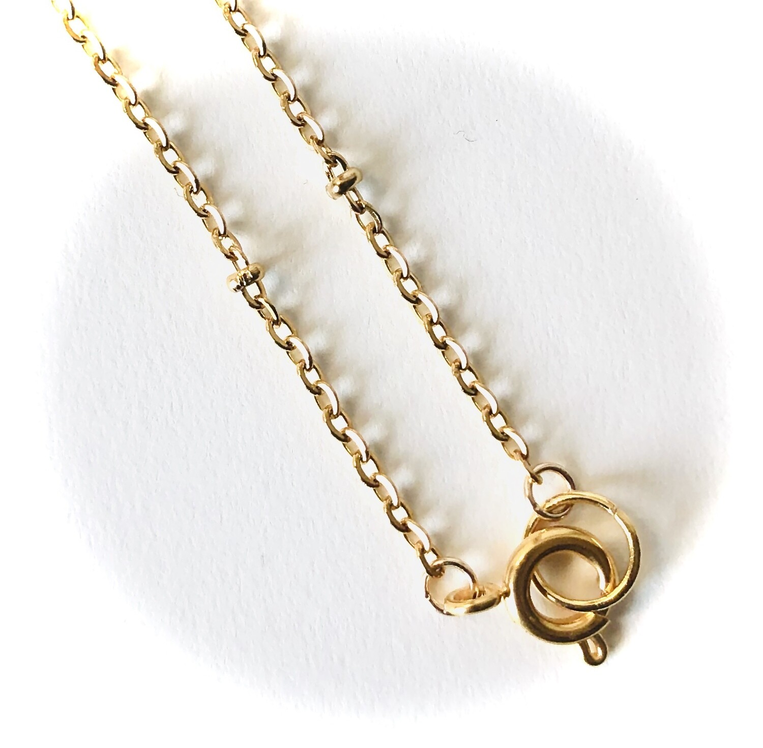 Rattle snake necklace