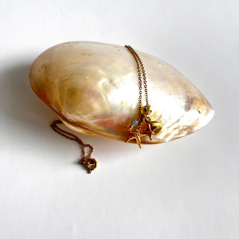 2 Starfish &amp; petit shell necklace