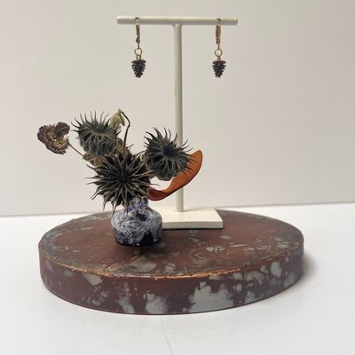 Dennenappeltjes/ pinecones earrings