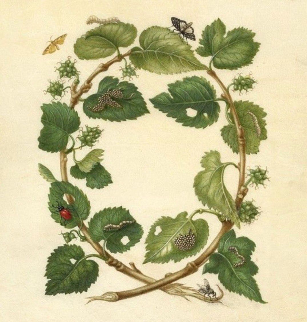 Cameo Ivy &amp; flying swallow necklace