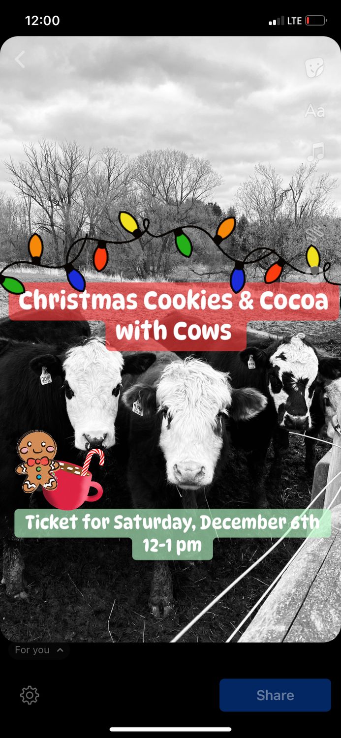 Christmas Cookies &amp; Cocoa With Cows Saturday, Dec. 6th Ticket 12-1 pm