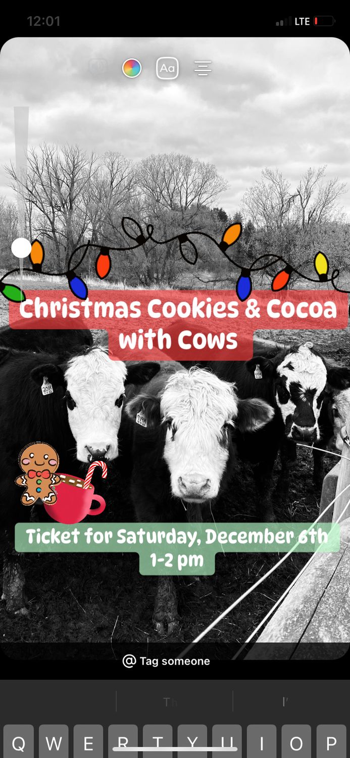 Christmas Cookies &amp; Cocoa With Cows Saturday, Dec. 6th Ticket 1-2 pm