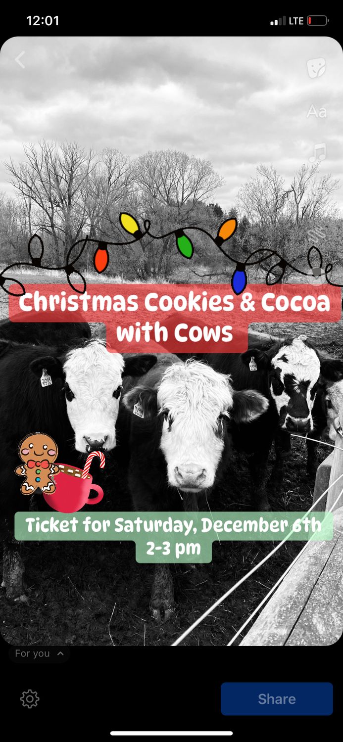 Christmas Cookies &amp; Cocoa With Cows Saturday, Dec. 6th Ticket 2-3 pm