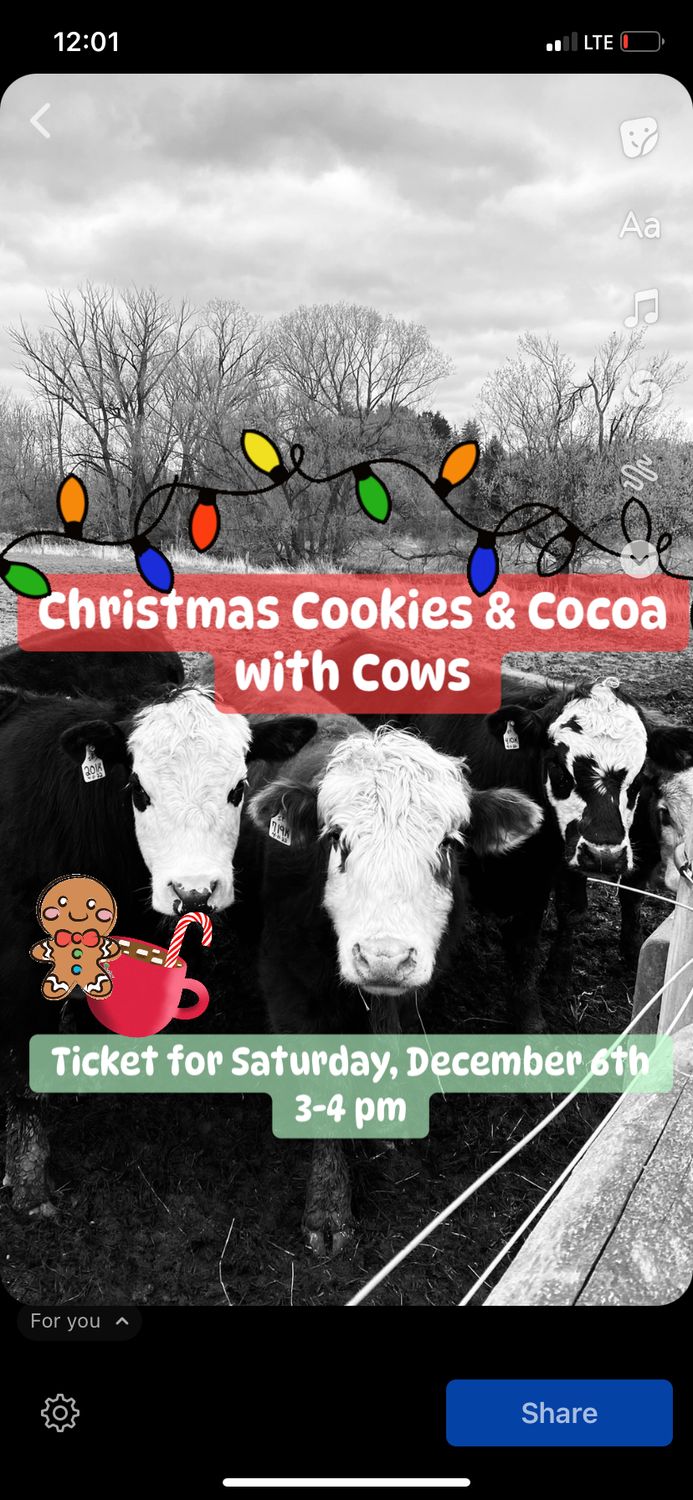 Christmas Cookies &amp; Cocoa With Cows Saturday, Dec. 6th Ticket 3-4 pm