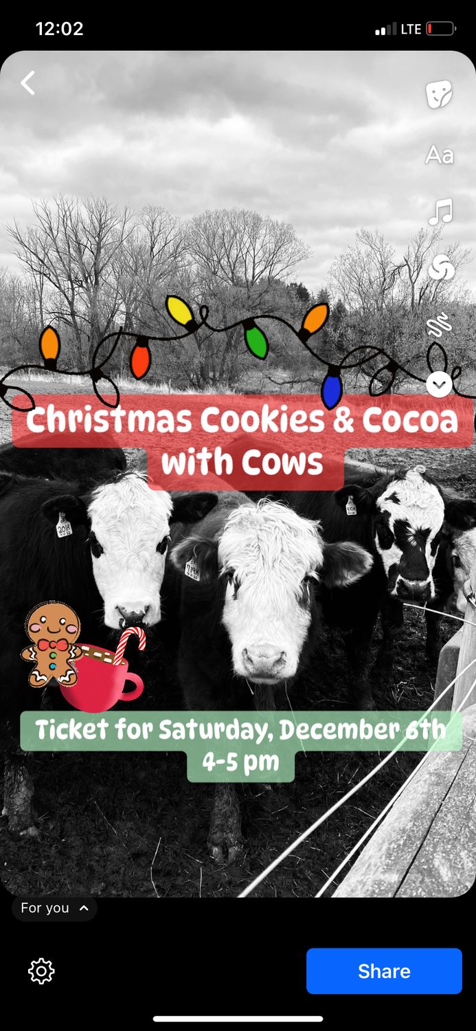 Christmas Cookies &amp; Cocoa With Cows Saturday, Dec. 6th Ticket 4-5 pm
