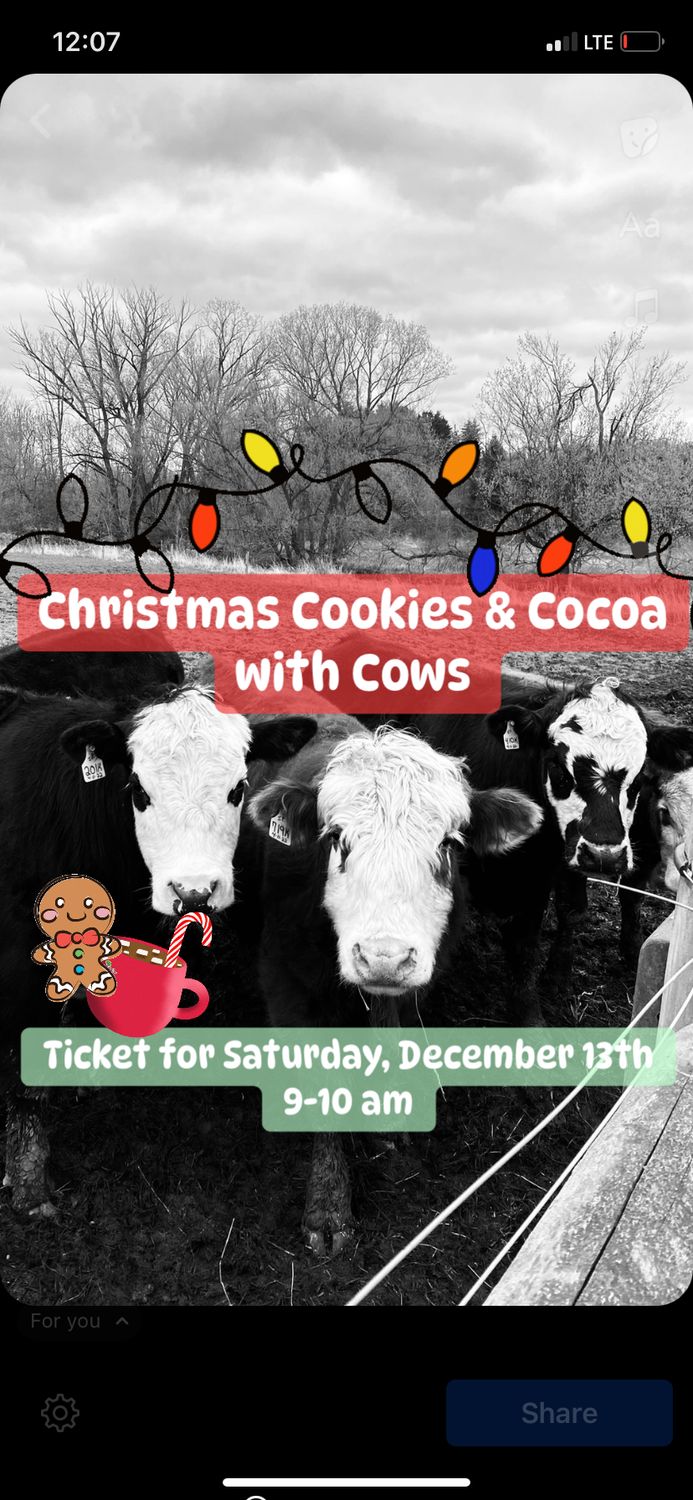 Christmas Cookies &amp; Cocoa with Cows Saturday, Dec. 13th Ticket 9-10 am