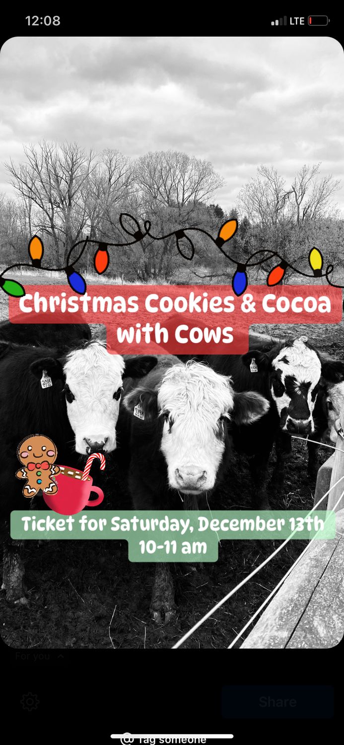 Christmas Cookies &amp; Cocoa with Cows Saturday, December 13th Ticket 10-11 am