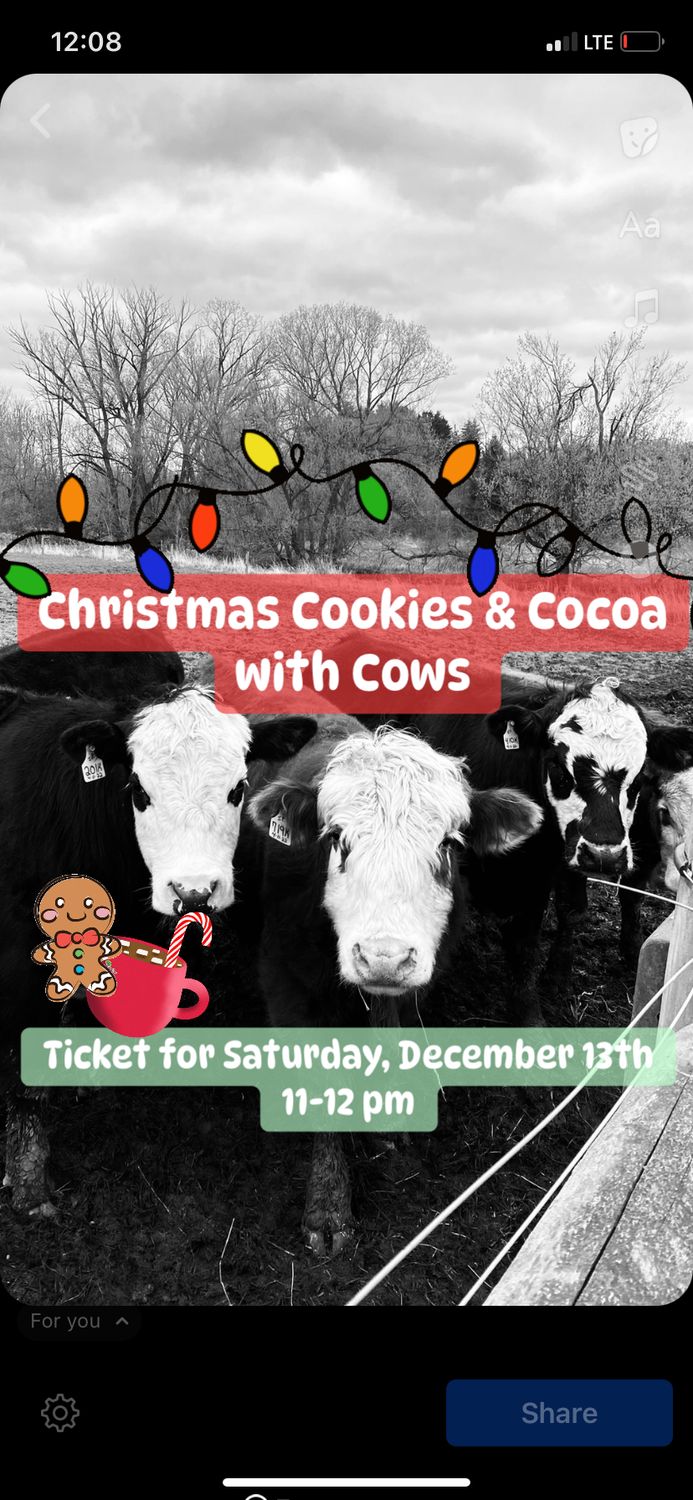 Christmas Cookies &amp; Cocoa with Cows Saturday, Dec. 13th Ticket 11 am-12 pm