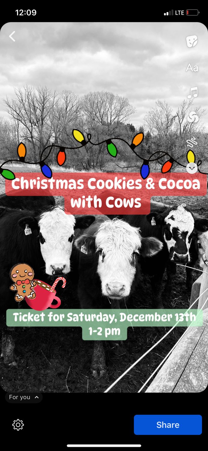 Christmas Cookies &amp; Cocoa with Cows Saturday, Dec. 13th Ticket 1-2 pm