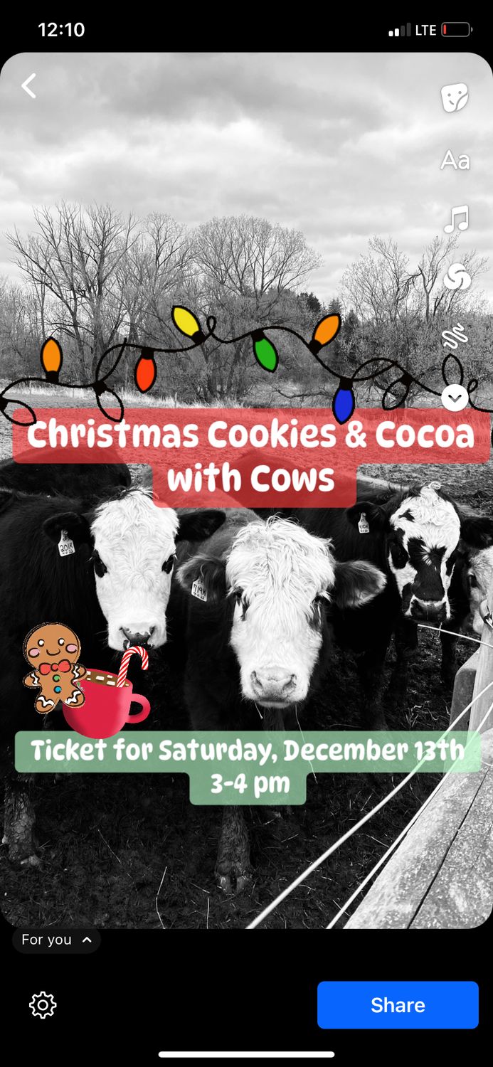 Christmas Cookies &amp; Cocoa with Cows Saturday, Dec. 13th Ticket 3-4 pm