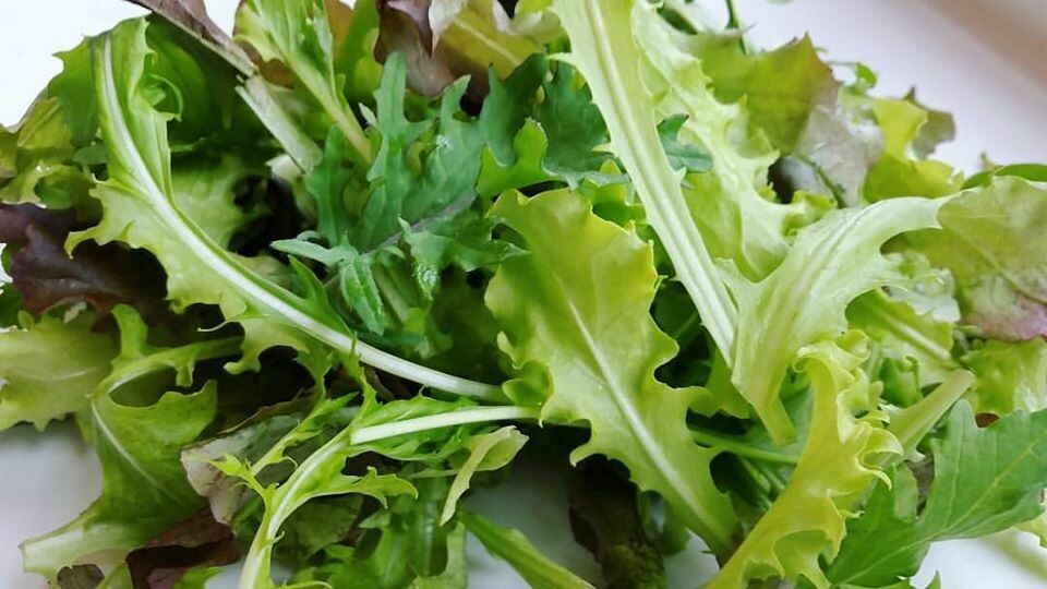 Chef's Mix Salad Greens