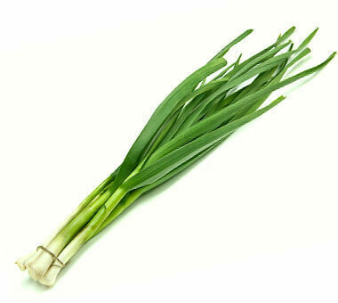 Green Garlic (bunch)