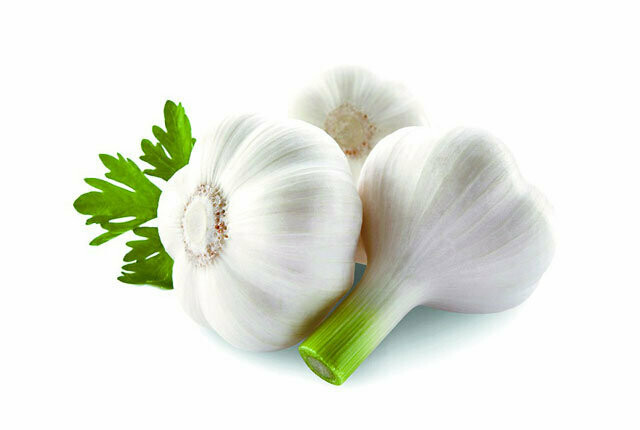 Garlic (bulb) - Vitruvian Farms