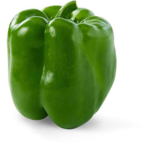 Green Bell Pepper - Vitruvian Farms