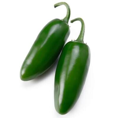 Jalapeno Pepper