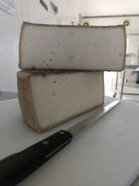 Summer's Rest Aged Cheese