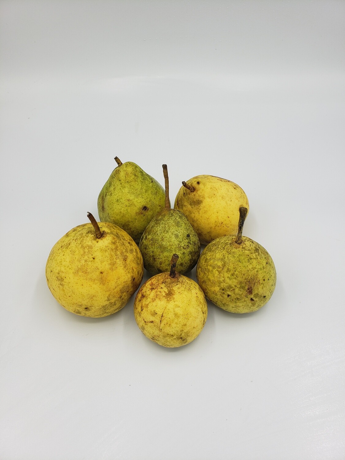 Pears (2lb) - Future Fruit Farm