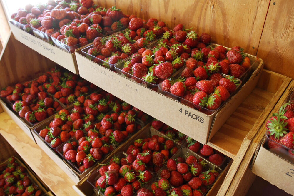 Strawberries (lb) - Carandale Fruit Farm