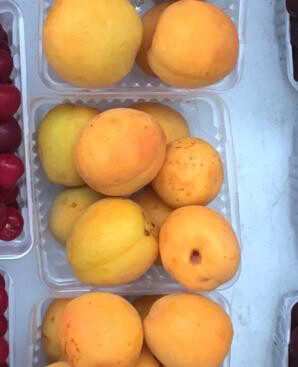 Apricots (lb) - Barnard Farms