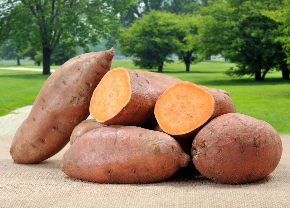 Sweet Potatoes (3lb) - Springdale Farm