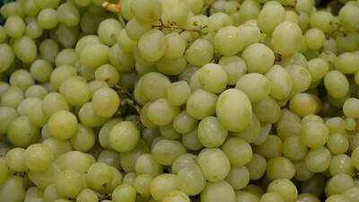 Green Seedless Grapes (2lbs) - Barnard Farm
