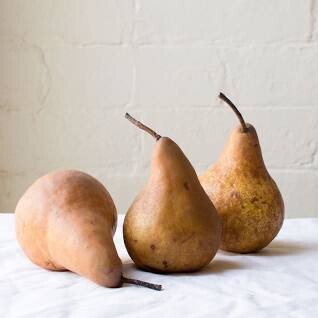 Bosc Pears (3lb)