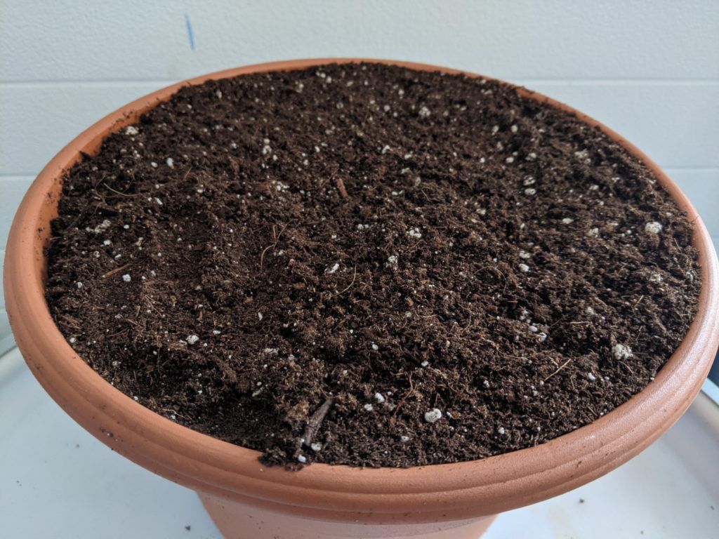 Growing Mix