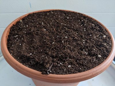Growing Mix