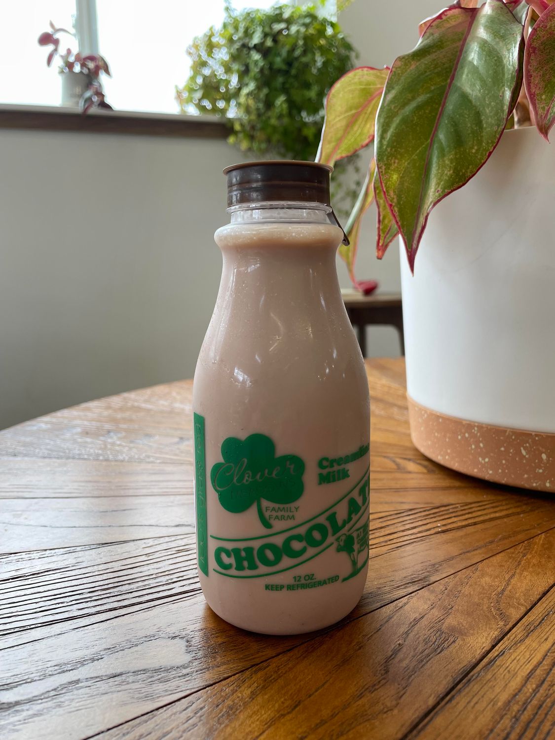 A2 Chocolate Milk