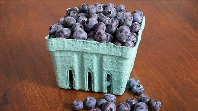 JenEhr Family Farm Blueberries