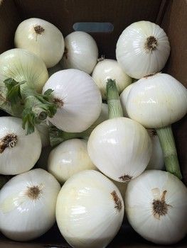 Fresh White Onions (3lb)