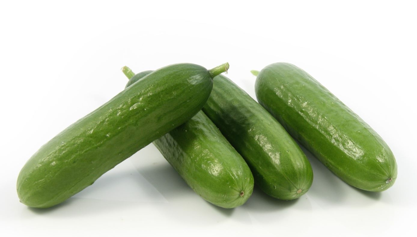 Snacking Cucumbers