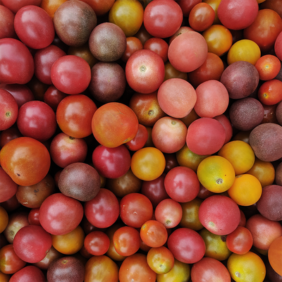 Cherry Tomatoes (pt)