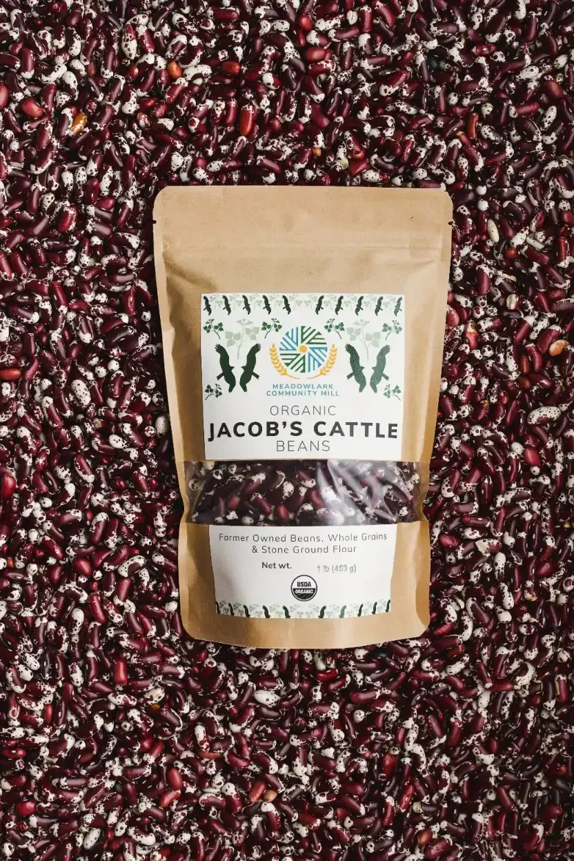 Dried Jacob&#39;s Cattle Beans