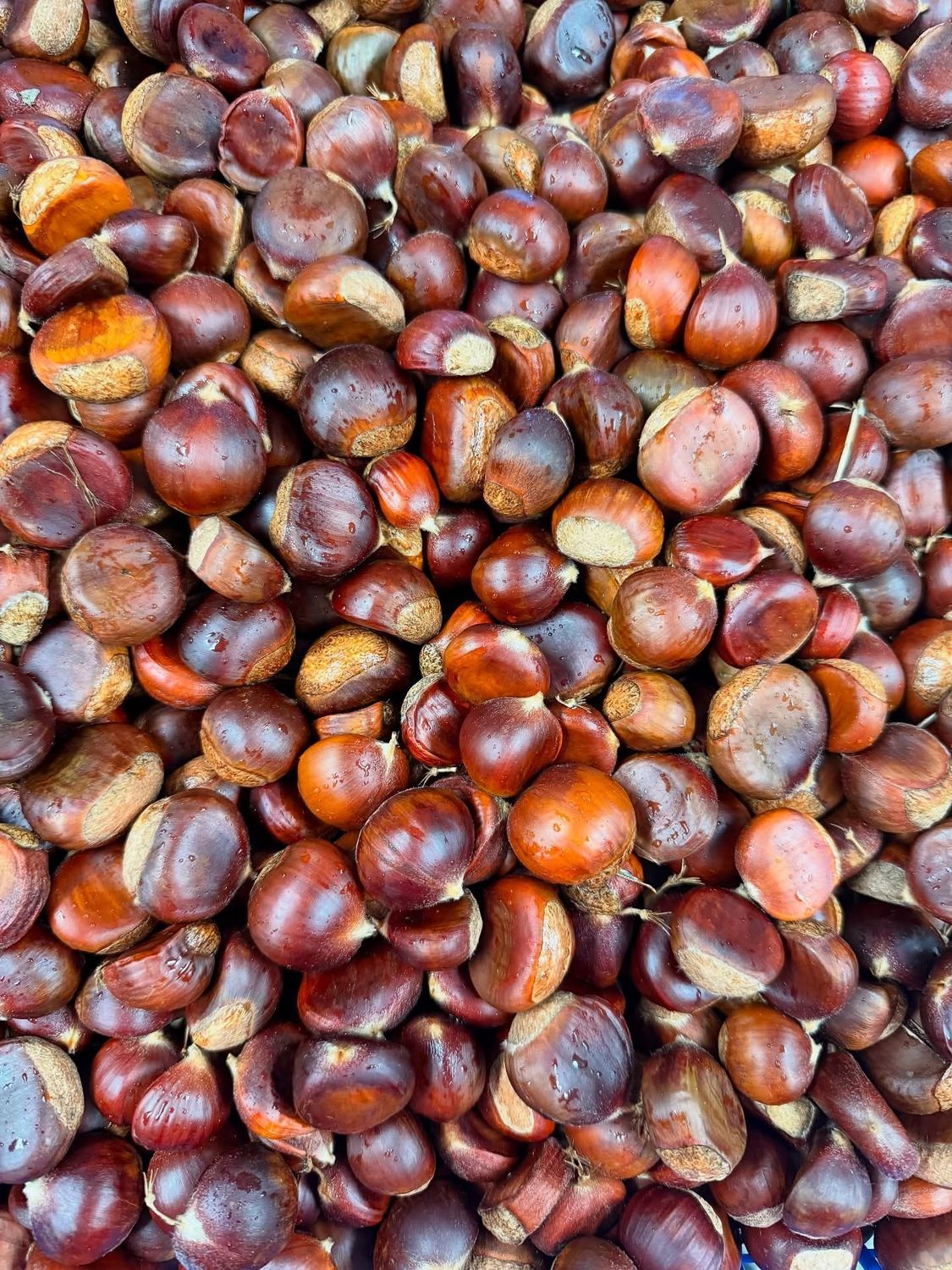 Chestnuts (lb)