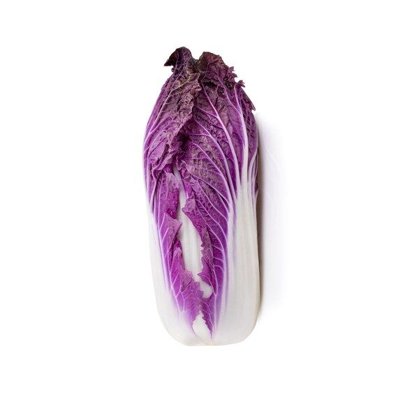 Napa Cabbage