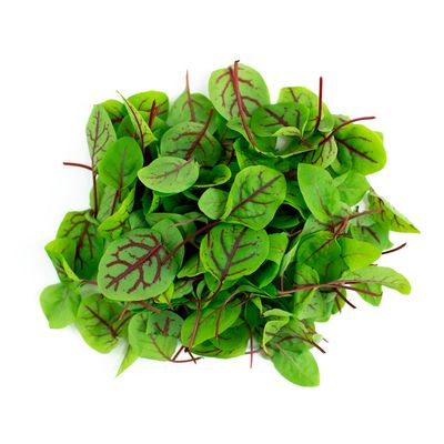 Sorrel Microgreens