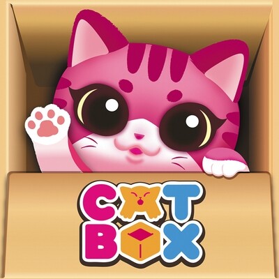 Cat Box