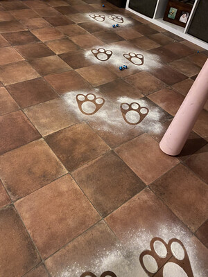 Easter Bunny Feet Stencils