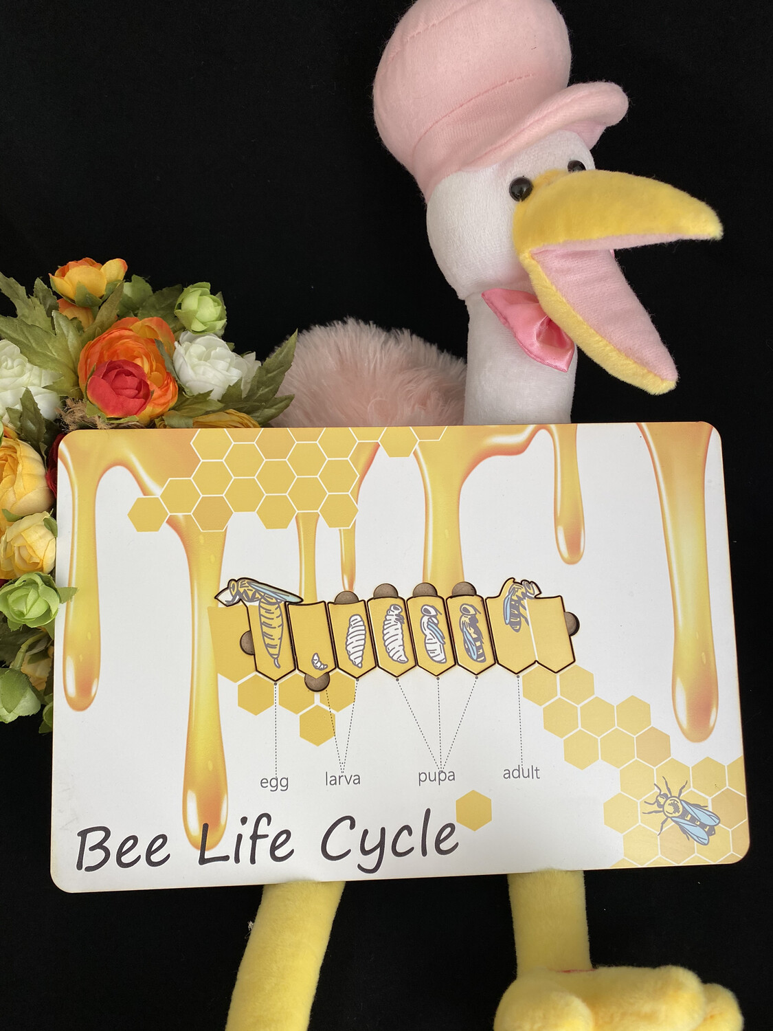Life Cycle Of A Bee Puzzle