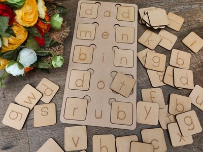 CVC Word Kit