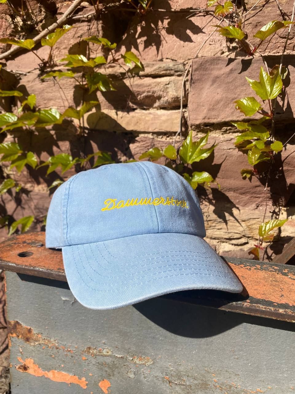 Dammerstock Cap